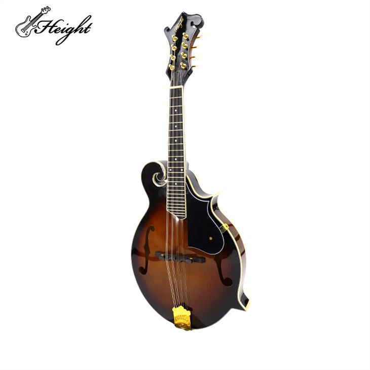 Italian Vintage Mandolin: Masterful Playing