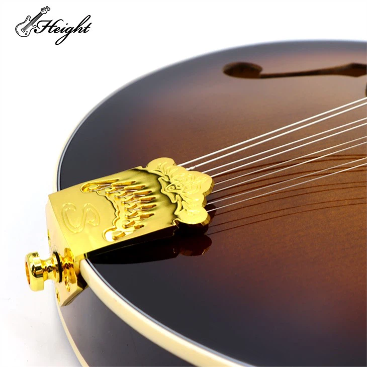 Italian Vintage Mandolin: Masterful Playing